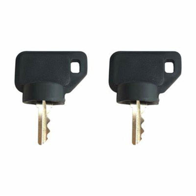 2Pcs Ignition Switch Key 09287000 09089700 for Ariens Gravely