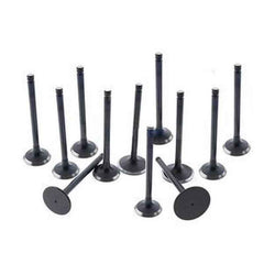 Complete Intake & Exhaust Valve Set (2pcs) 4007179 4007180 for Cummins QSK23/QSK78 Hyundai Excavator