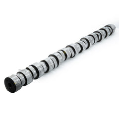 Árbol de levas 3036117 para motor Cummins L10 