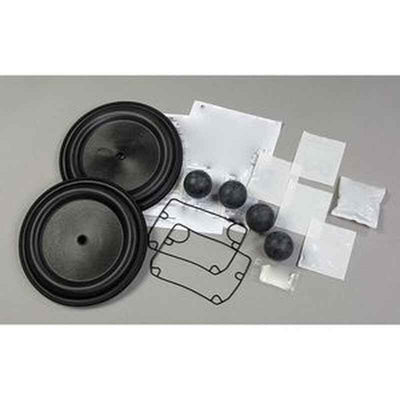 Diaphragm Pump Repair Kit 637375-GG 637375GG