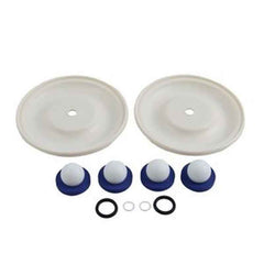 Fluid Section Repair Kit D07-525 D07525 for Graco Husky 1" Diaphragm Pump