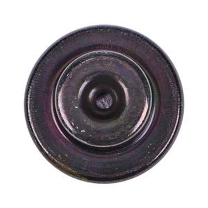 Fuel Pressure Damper 35301-02800 & 401-0212 for Hyundai/Kia