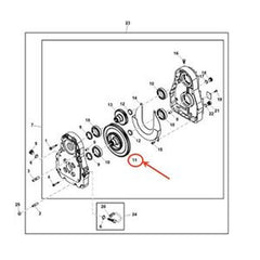 Engranaje CE20137 para motores John Deere 6090, 6135, 7660, 7760 y CP690