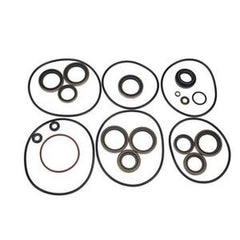 Gearcase Lower Unit Seal Kit 5006373 for Evinrude Outboard Engines