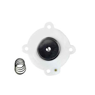 Diaphragm Repair Kit C113443 for ASCO 3/4 Inch Valve