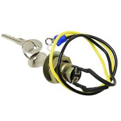 Ignition Switch with 2 Wires 2 Positions 2 Keys 8N3679C for Car Boat Truck Tractor and More