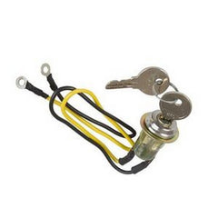 Ignition Switch with 2 Wires 2 Positions 2 Keys 8N3679C for Car Boat Truck Tractor and More