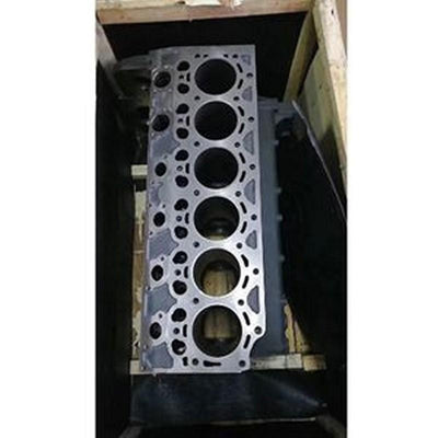 Cylinder Block Assembly 04289952 for Deutz Engine BF6M2012C BF6M2013C Volvo D6D Loader L90E