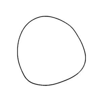 O-Ring 209-4291 for Caterpillar CAT 3054C Engine Telehandler TH210 TH215