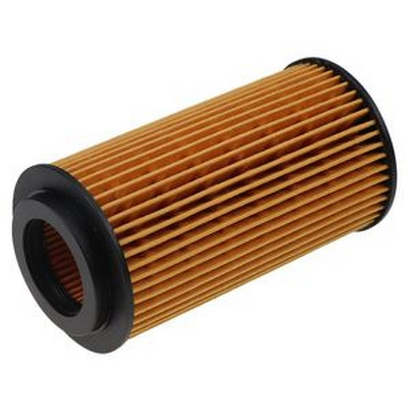 Oil Filter Element ED0021750010-S for Kohler Lombardini Diesel - Buymachineryparts