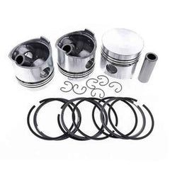 Piston & Ring Kit for Shibaura J843 Engine
