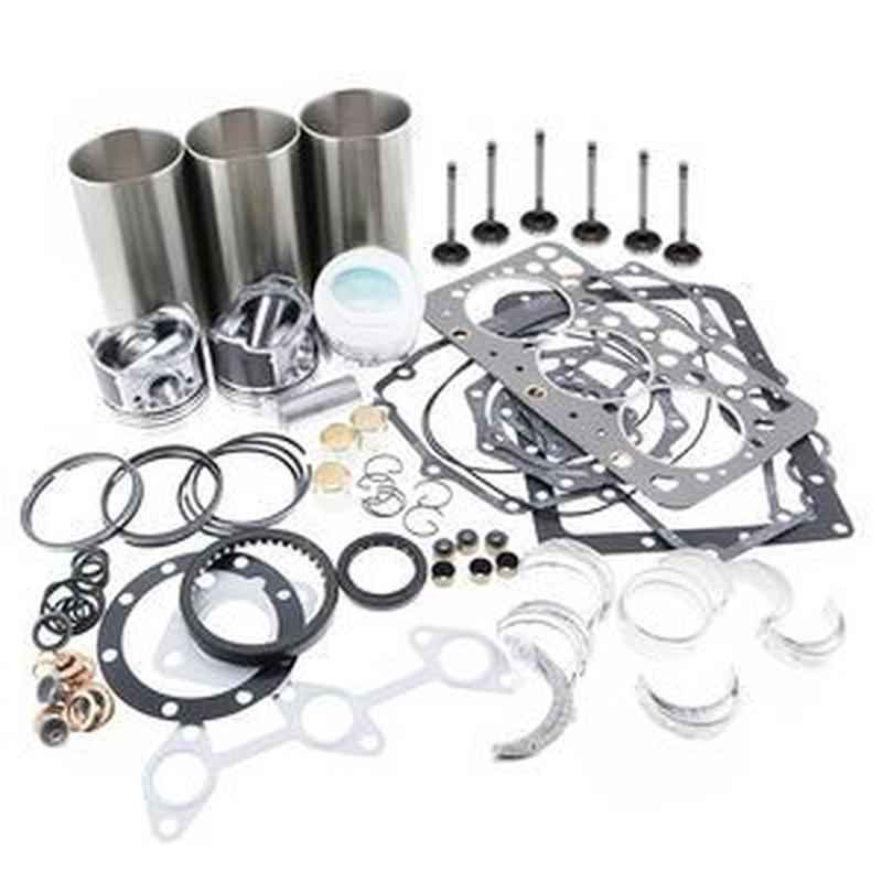 Rebuild Kit for Isuzu 3CD1 & 3CD1T Engines