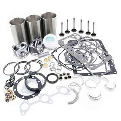 Rebuild Kit for Isuzu 3CD1 & 3CD1T Engines