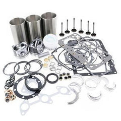 Rebuild Kit for Perkins 1103 Engine Overhaul