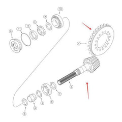 Ring & Pinion Gear Set 175956A1 for CASE Backhoe 570MXT 580L 580M 580SL Forklift 570LXT 585G 586G 588G