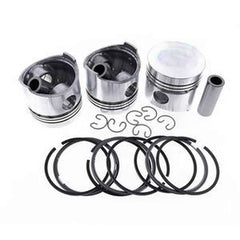 Piston Kit with Ring for Thermo King TK3.95/TK395/TK395A Engine