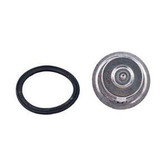 Thermostat Kit 4309185 for Cummins QSB3.3 & ISB 3.3L Engine