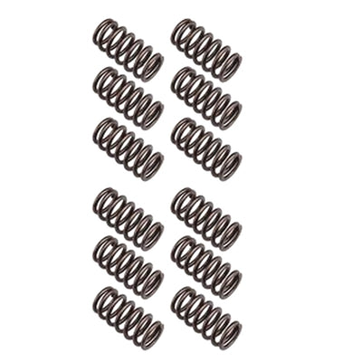 12 Pcs Valve Springs 3916691 3900276 for Dodge Ram 2500 3500 Cummins Engine 5.9L 12V