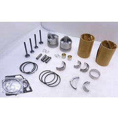 2 Cylinder Overhaul Rebuild Kit for Kubota ZB500 Engine