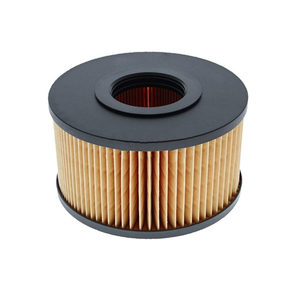 Air Filter 50484100 for Hatz Engine 1B40 1B50