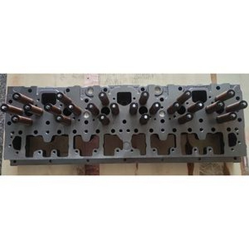 Complete Cylinder Head for Cummins Engine M11 ISM11 QSM11