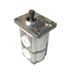 Double Pump 40232205 for LS Tractor P Series