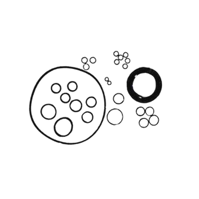 Hydraulic Pump Seal Repair Kit for Rexroth A6VM160