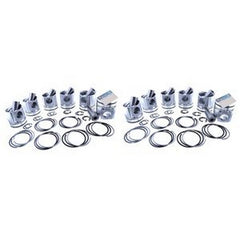 Piston & Piston Ring Set STD for Mitsubishi Engine S12R